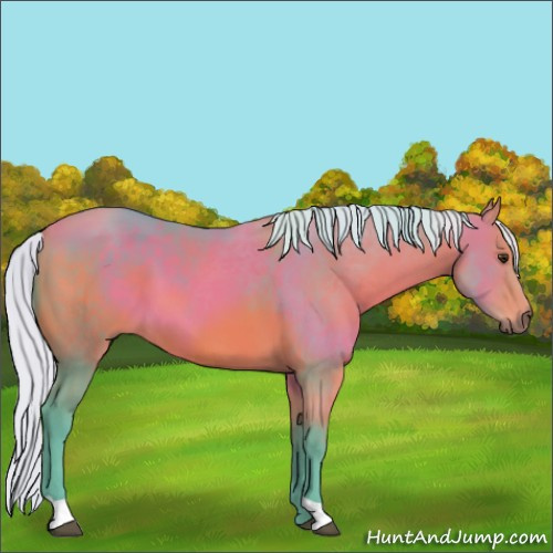 Horse Color:Watercolor Silver Bay 