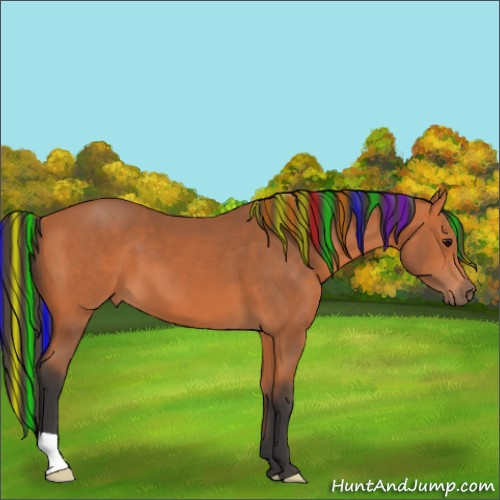 Horse Color:Painted Bay