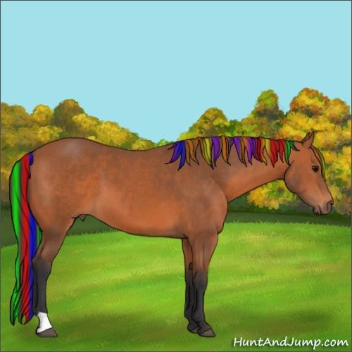 Horse Color:Painted Bay 