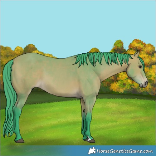 Horse Color:Watercolor Bay 