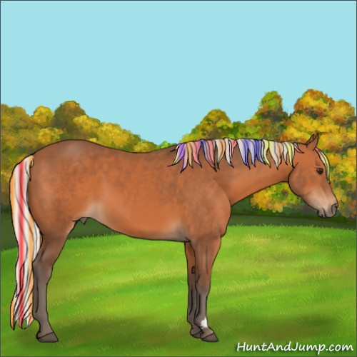 Horse Color:Painted Silver Bay 
