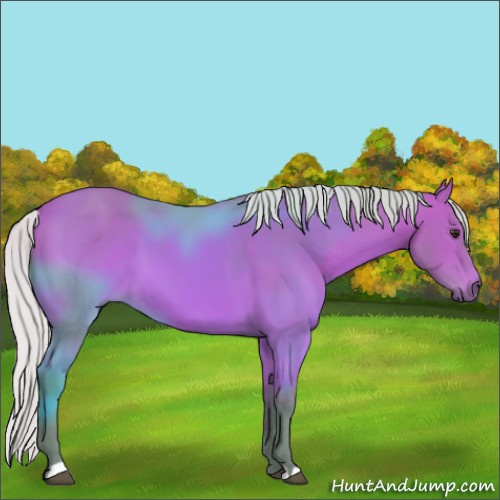 Horse Color:Watercolor Silver Bay 