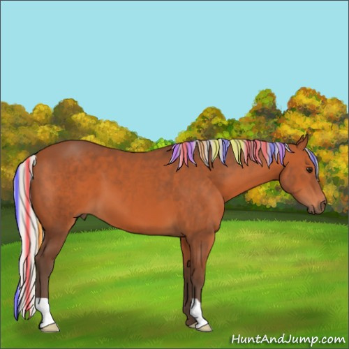 Horse Color:Painted Silver Bay 