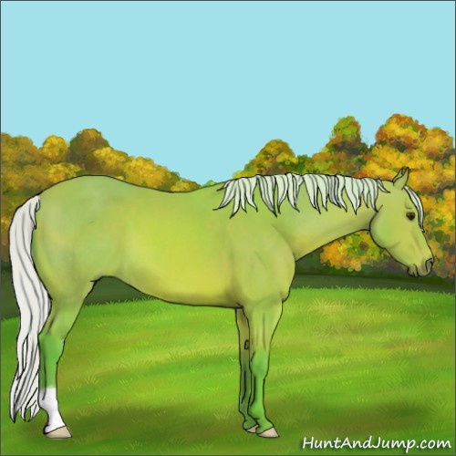 Horse Color:Watercolor Silver Bay 