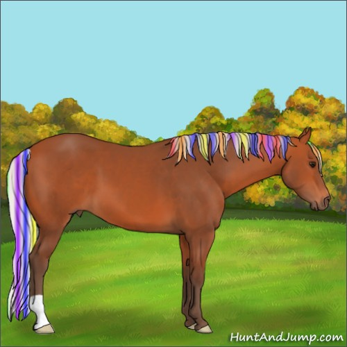 Horse Color:Painted Silver Bay 