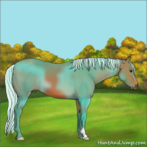Horse Color:Watercolor Silver Bay 
