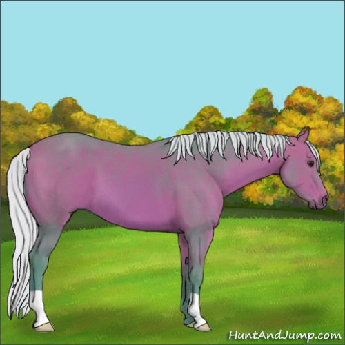 Horse Color:Watercolor Silver Bay 