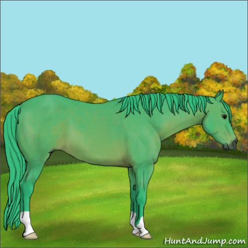 Horse Color:Gray Watercolor Bay 