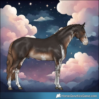 Horse Color:White Spotted Liver Chestnut Rabicano 