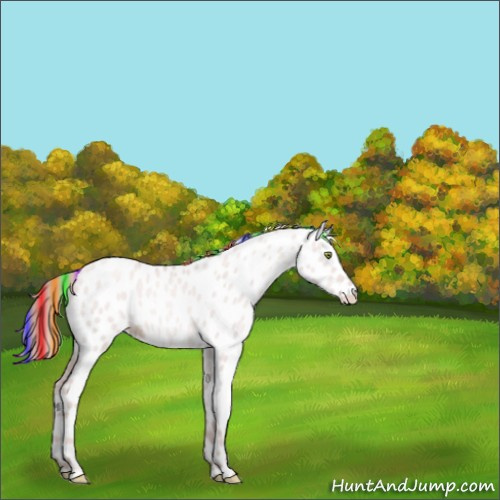 Horse Color:Platinum Painted Gold Champagne Dun Appaloosa 