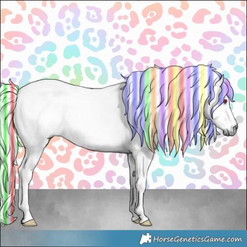 Horse Color:Platinum Painted White Spotted Chestnut Chinchilla 