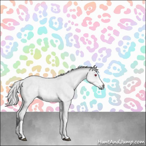 Horse Color:Platinum Silver Bay Chinchilla 