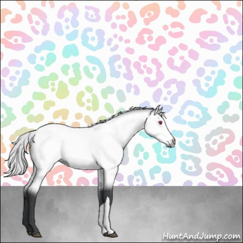 Horse Color:Silver Bay Chinchilla 