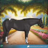 Horse Color:White Spotted Smoky Black Tobiano Rabicano