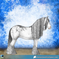 Horse Color:White Spotted Black Ice Sabino 
