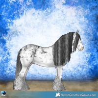 Horse Color:White Spotted Black Ice Sabino 
