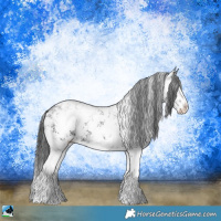 Horse Color:White Spotted Black Ice Sabino 