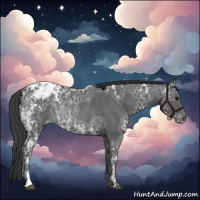 Horse Color:Black Ice Appaloosa Rabicano 