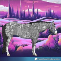 Horse Color:Black Ice Rabicano 