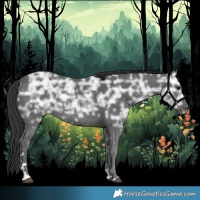 Horse Color:Black Ice 