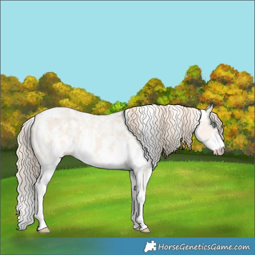 Horse Color:Perlino Sabino  and Perlino Sabino Rabicano 