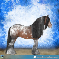 Horse Color:White Spotted Brown Ice Sabino Rabicano 