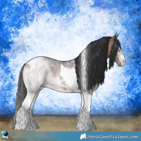 Horse Color:Brown Ice Sabino Tobiano Rabicano 