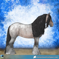 Horse Color:Brown Ice Roan Sabino Rabicano 