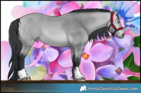 Horse Color:Bay Chinchilla 