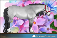 Horse Color:Bay Chinchilla 