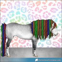 Horse Color:Platinum Painted Bay Chinchilla 