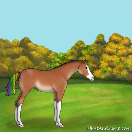 Horse Color:Painted Bay Splash 
