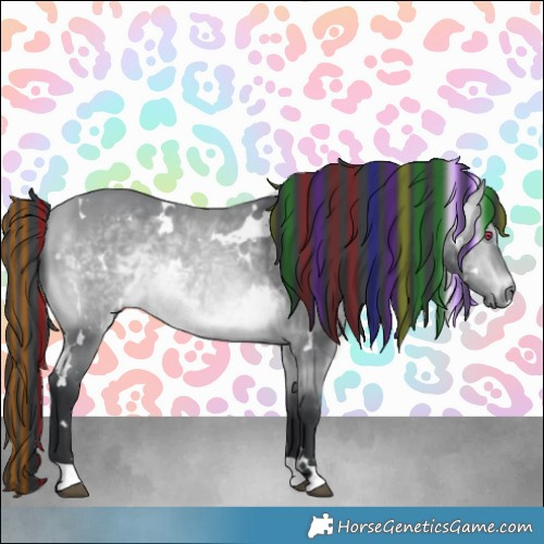 Horse Color:Painted White Spotted Bay Chinchilla 