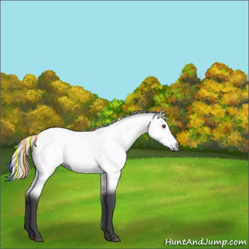 Horse Color:Painted Silver Brown Chinchilla 