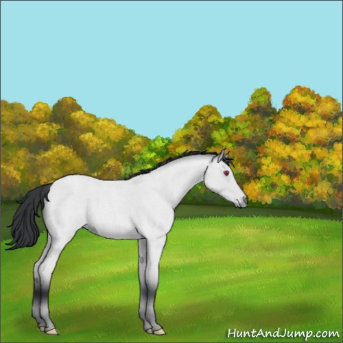 Horse Color:Platinum Bay Chinchilla Roan 