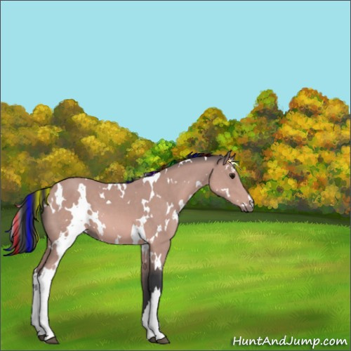 Horse Color:Platinum Painted White Spotted Bay 