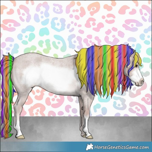 Horse Color:Platinum Painted Red Roan Frame 