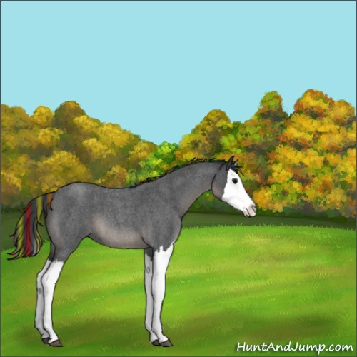Horse Color:Painted Blue Roan Splash 