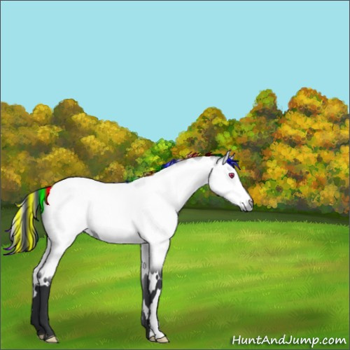 Horse Color:Painted White Spotted Bay Chinchilla 