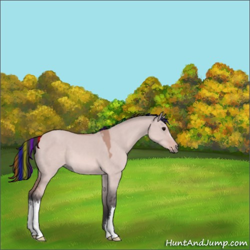 Horse Color:Platinum Painted Bay Dun 
