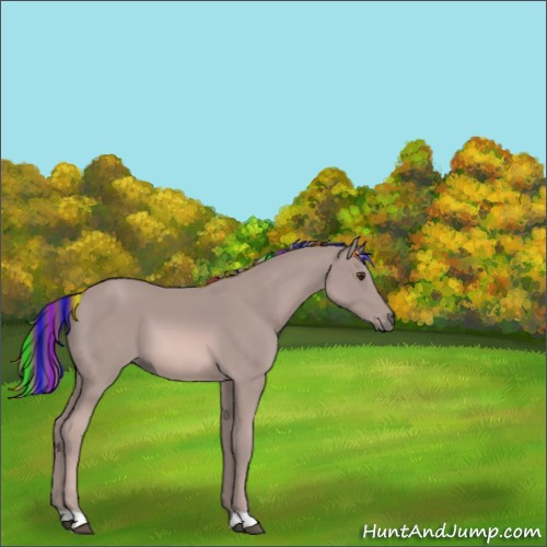 Horse Color:Platinum Painted Chestnut 