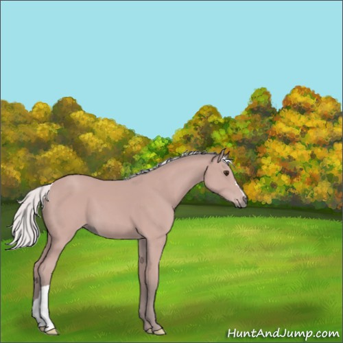 Horse Color:Platinum Silver Bay 