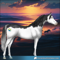 Horse Color:Black Splash Rabicano 