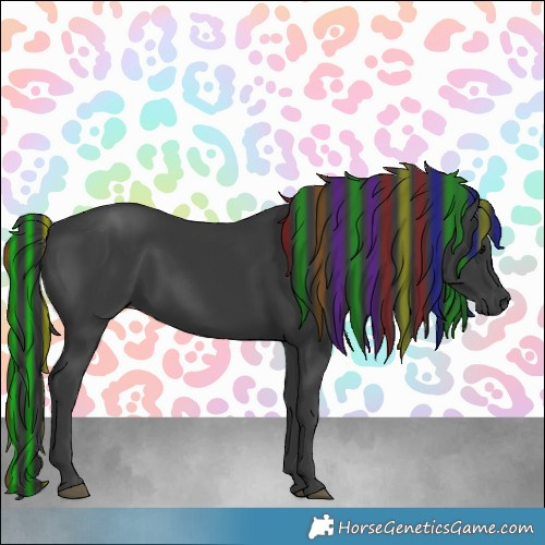 Horse Color:Platinum Painted Black 