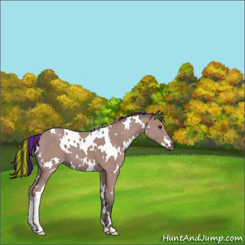 Horse Color:Platinum Painted White Spotted Bay 