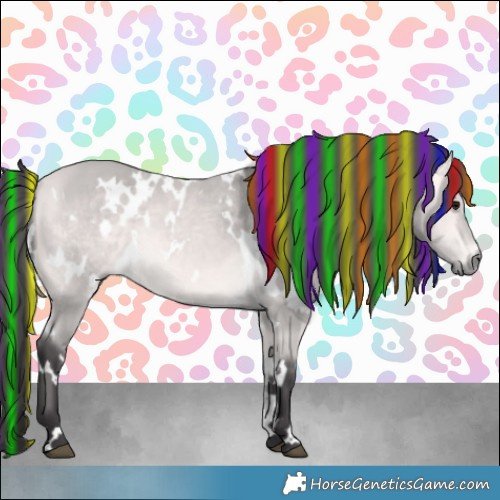 Horse Color:Platinum Painted White Spotted Buckskin 