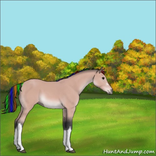Horse Color:Platinum Painted Bay 