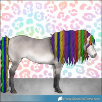 Horse Color:Platinum Painted Buckskin 