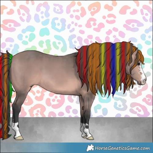 Horse Color:Platinum Painted Bay 