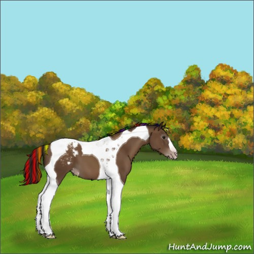Horse Color:Gray Painted Classic Champagne Tobiano Appaloosa 